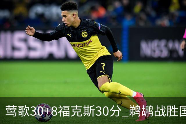 莺歌30+8福克斯30分 鹈鹕战胜国王晋级半决赛